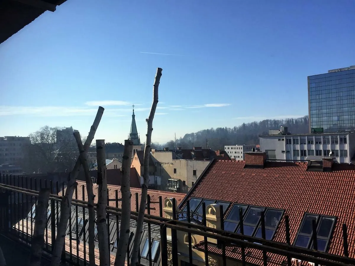 Rok'S Mini Penthouse Appartement Ljubljana Slovenië